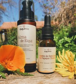 Elquimia